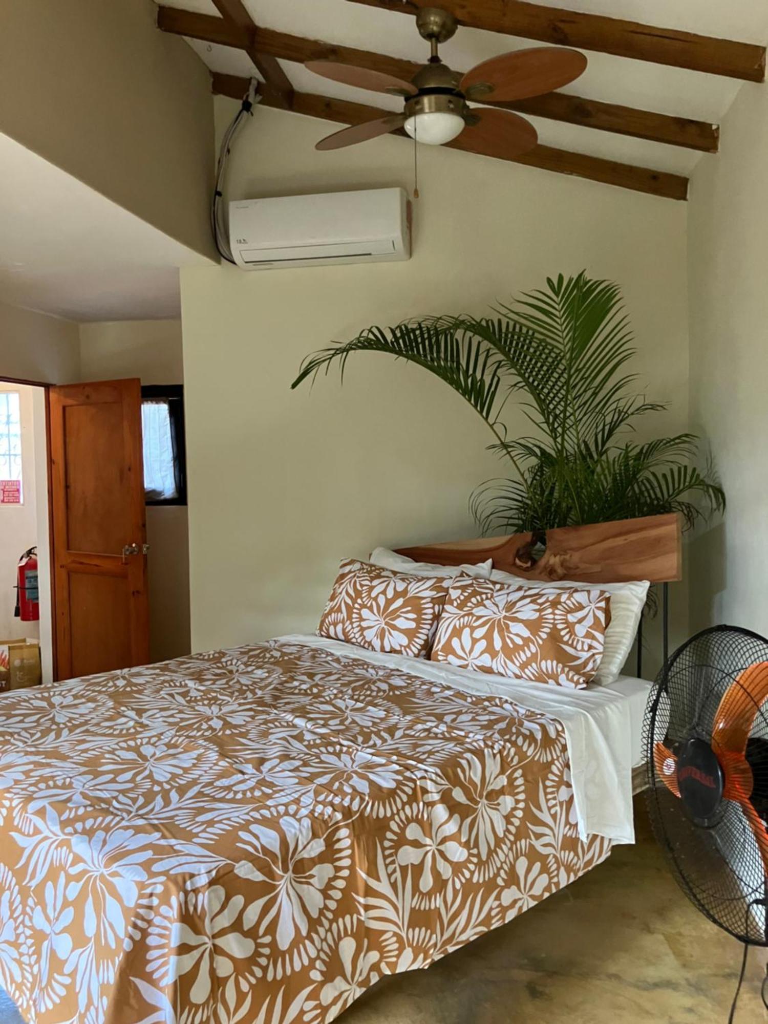 Yes Papa! Rooms Only 100M From The Beach! Las Galeras Exterior photo